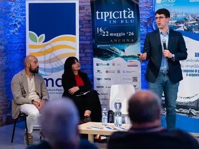 Tipicità in Blu 2026